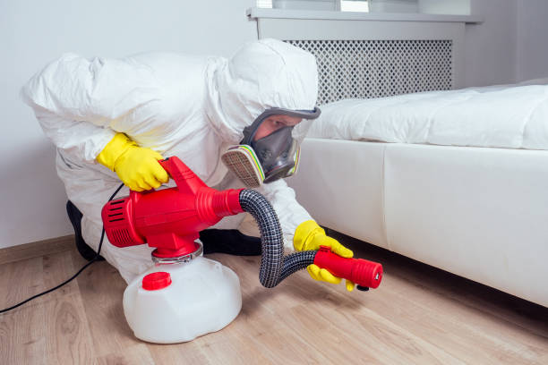 Best Best Pest Control Companies  in Blackfoot, ID